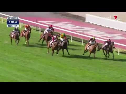 Showmanship | The Valley