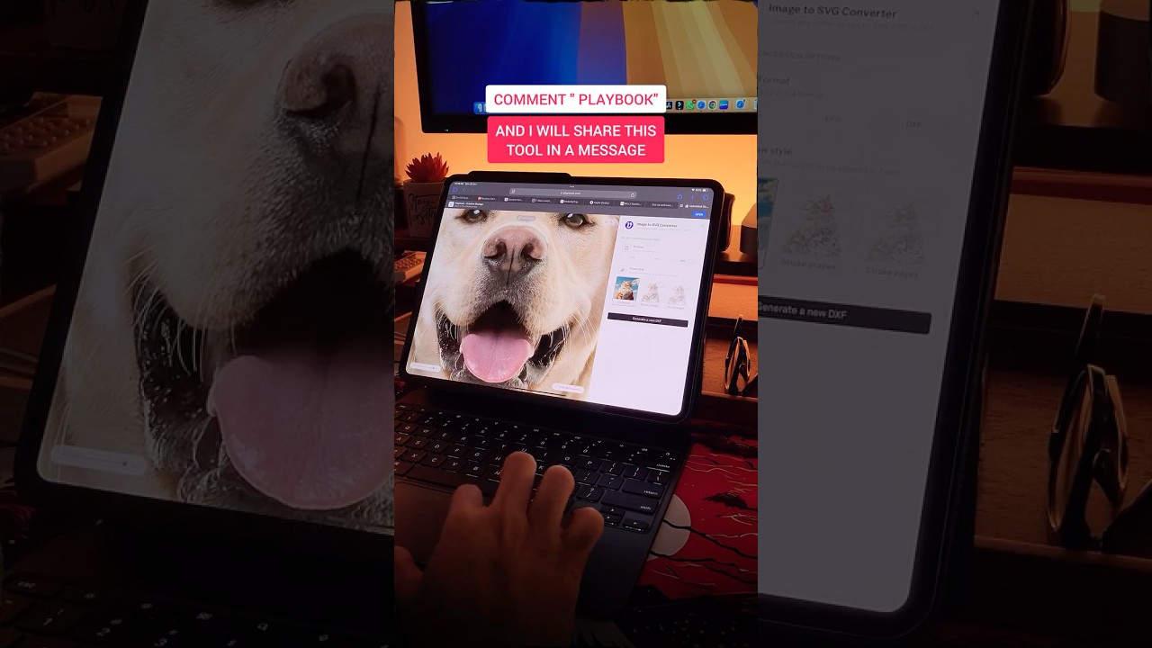 Effortless VECTOR Conversion 🎨