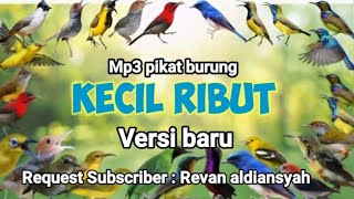 Download lagu MP3 PIKAT BURUNG KECIL RIBUT VERSI TERBARU mp3