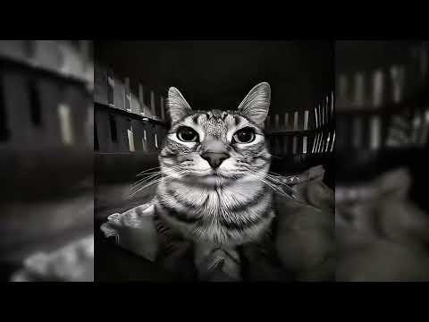 MONTAGEM VOLTE - (SLOWED)