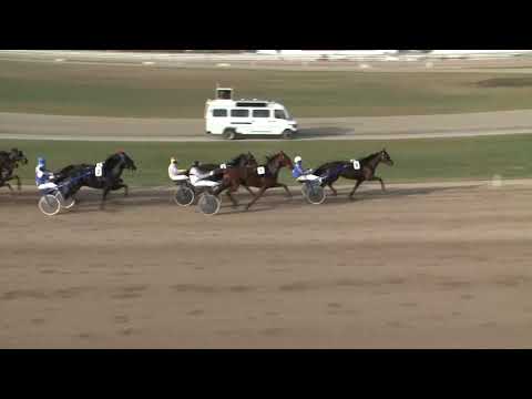 2018.11.03. 03. futam - FOREST SUN DÍJ