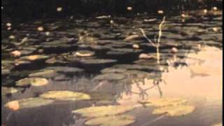 James LaBrie - Shores Of Avalon