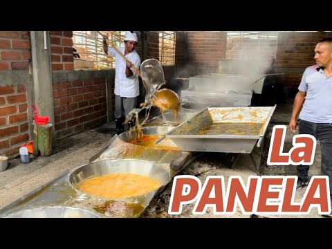 COLOMBIA is the second largest producer of PANELA in the world (Documentary)