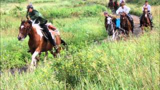 TWO SOLDIERS - COWBOY JUNKIES . Lyrics