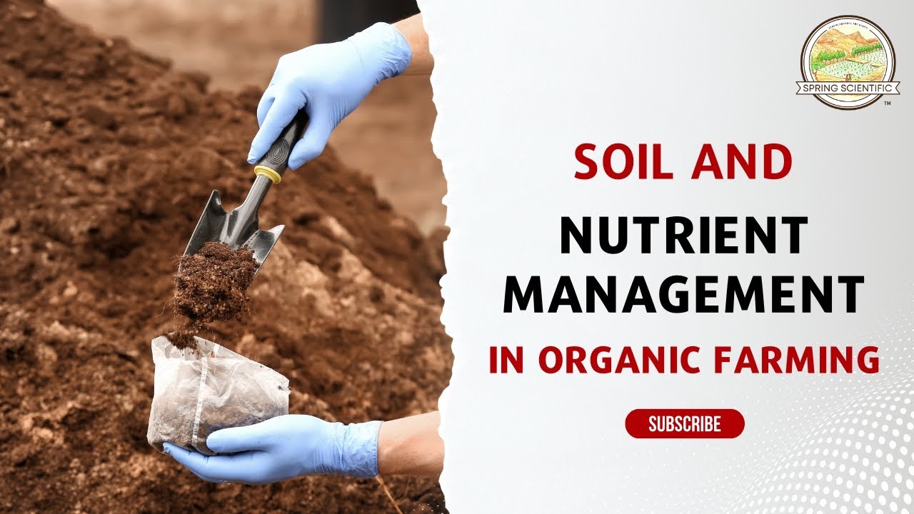 Organic Farming and Soil Health