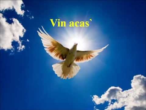 Vin acas' - negativ