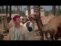 The Black Tent (1956) | British War Drama | Full Movie | Anthony Steel | Classic Cinema HD