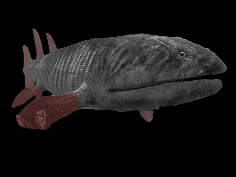 TRILOGY OF LIFE - Walking with Monsters - "Hyneria"