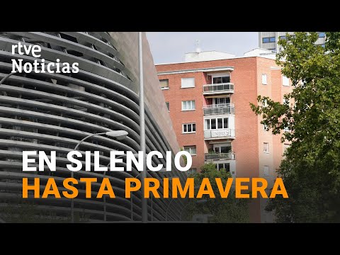 BERNABÉU: Los VECINOS \