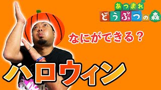 【ハロウィン】仲良夫婦ライブ🐸