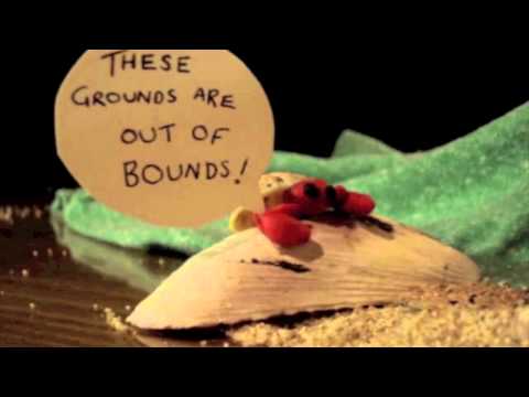 Thumbnail for August and After - The Orchard (Official Music Video) by The Band, Iration, Cher