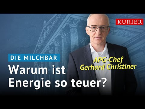 APG CEO Christiner: "The high energy prices are self-inflicted"