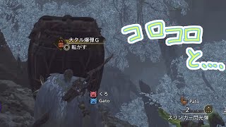 【MHWilds】転がし爆弾を外すと恥ずかしい