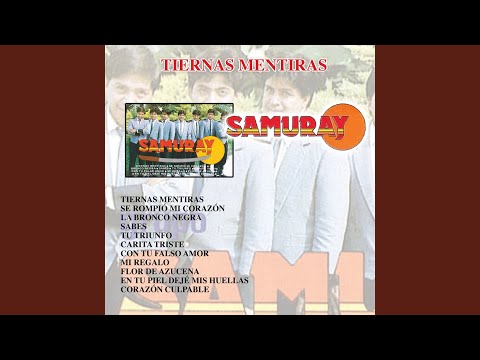 Se Rompió Mi Corazón