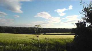 Aphex Twin - Goon Gumpas (X10 Slower)