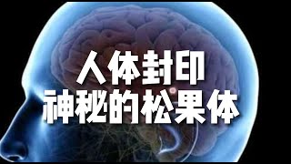 [問卦] 練拳擊真的很難嗎 會很講求天份嗎?