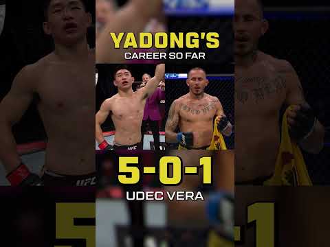 UFC video artwork