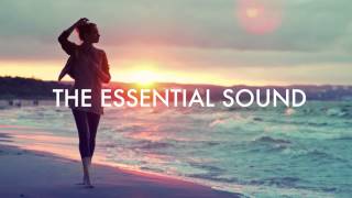 Kungs &amp; Mozambo - To Describe You (Feat. Molly)