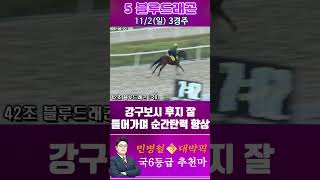 [서울 경마] 민병철 대박픽 2025년 11월 2일 일요 3R 추천마2 #경마 #한국마사회 #하이라이트 #검빛 #고배당 #코리아