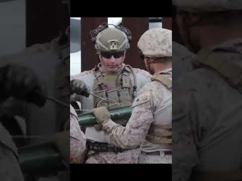 Trump sigue con el despliegue del ejército y el refuerzo de las fronteras.