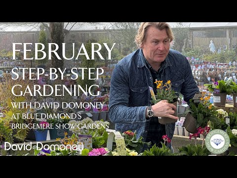 Easy February | Step-by-Step Gardening at Blue Diamond's Bridgemere Show Gardens | Episode 8