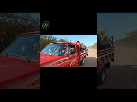 Famosa Guanabara da Igreja de Brejo do Piauí #automobile #c10 #chevroletc10 #guanabara #ai