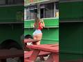 FE N Ytshorts Shorts