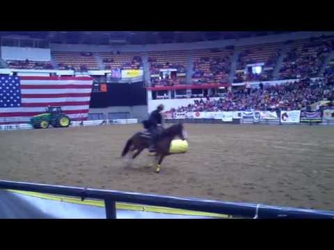 Sid Zacharias 2012 Extreme Mustang Makeover Champion Madison WI