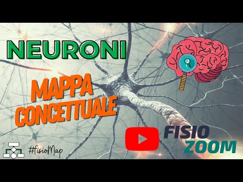 I NEURONI/ #FisioMap