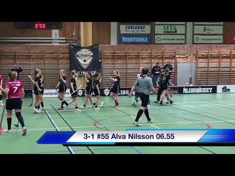 Highlights F04-05 Åstorp /Kvidinge IBS - Malmö FBC 6-1