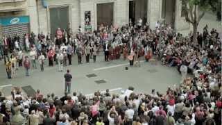 9na Sinfonía de Ludwig V Beethoven (Ode To Joy)"HIMNO A LA ALEGRÍA"[Video en Super Alta Definición]