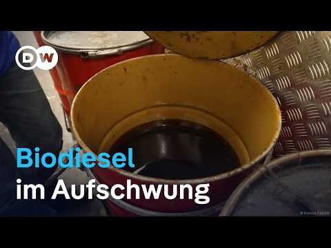 Singapur: Biodiesel-Boom zwischen Krise und Kosten