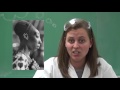 What You Thought You Knew About Genetics, But Didn't: Pangenesis