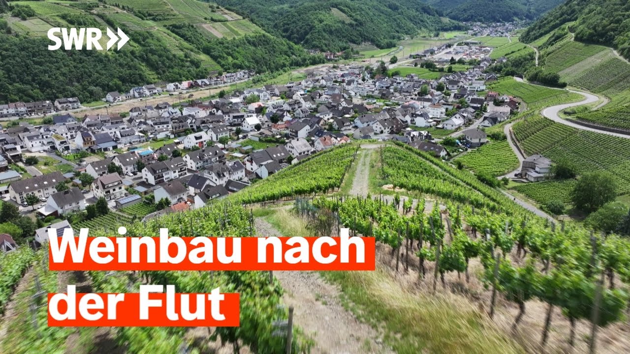Ahrtal: Neue Wege in der Rotwein-Region | Zur Sache Rheinland-Pfalz