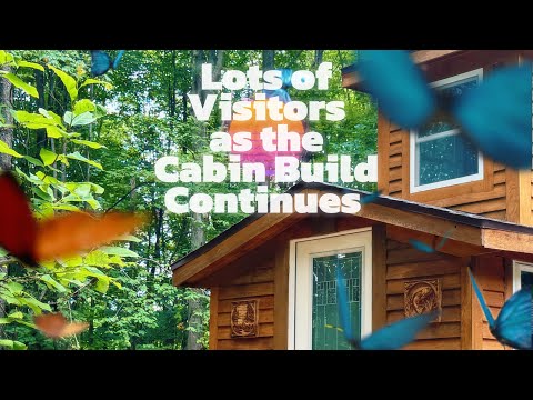 Lots of visitors as the cabin buld continues/ EP23 / Just for fun off grid Mancave