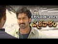 Episode 1029 Chakravakam Telugu Daily Serial Manjula Naidu Loud Speaker