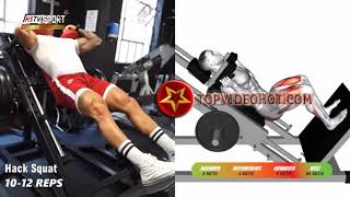 những b&agrave;i tập ph&aacute;t triển to&agrave;n cơ thể