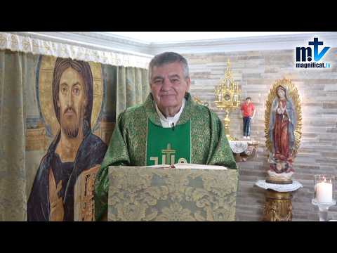 "Señor, Ten Paciencia Conmigo" | Homilía, XXIV Domingo del Tiempo Ordinario (13-09-2026) | P. Santiago Martín, FM
