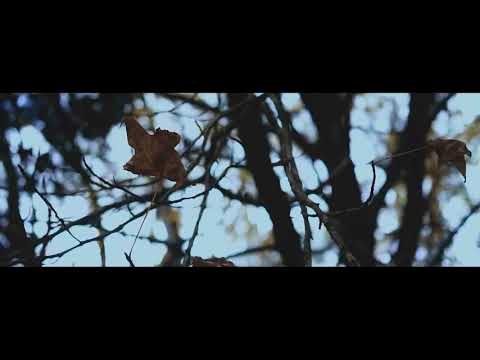 Shadow Blow - Donde te metes (video official)