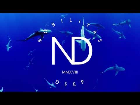 Boiler - Follow Me (feat. NBLM) (BLR Instrumental Mix) (Extended)