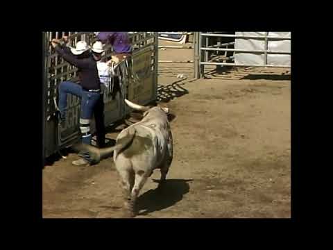 Dagger bucks Scott Breding - 94 PBR Rancho Murieta
