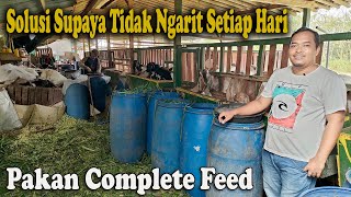 Download lagu Solusi Supaya Tidak Ngarit Setiap Hari, Pakan Complete Feed mp3 Download lagu Solusi Supaya Tidak Ngarit Setiap Hari, Pakan Complete Feed mp3