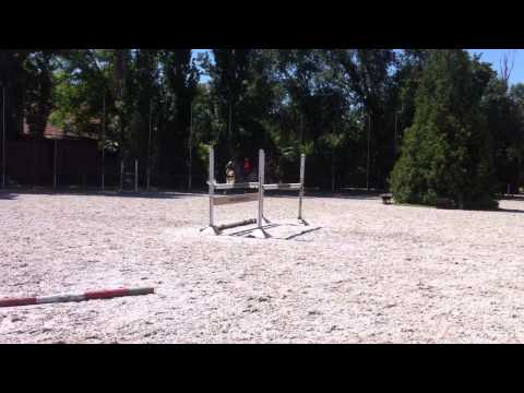 Carte Noire training 2013.05.18.