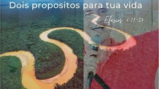 2 propsitos para sua vida