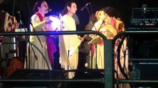 Arakne Mediterranea Pizzica grika Oriamu pisulina