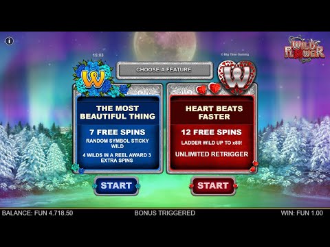 Wild Flower gameplay video