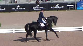 Les Pays-Bas à l'heure de la reconstruction