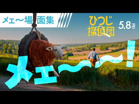 ひつじ探偵団 Video8