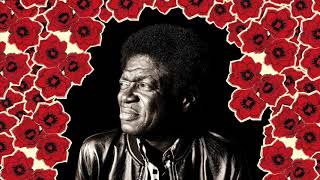 Charles Bradley - How Long [Stripped Down Mix]