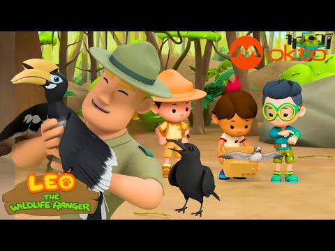 Redshanks, Crows... see the different type of BIRDS | Leo S3 Spinoff Compilation | @mediacorpokto